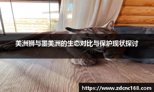 美洲狮与墨美洲的生态对比与保护现状探讨